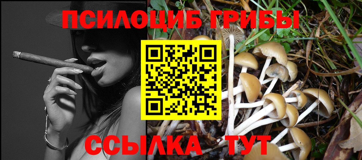 Где купить наркотики?  Павловский Посад  ГАШ  Вход с VPN  МЕФ кристаллы  Марихуана  Alpha PVP СОЛЬ кристаллы  ГЕРОИН 