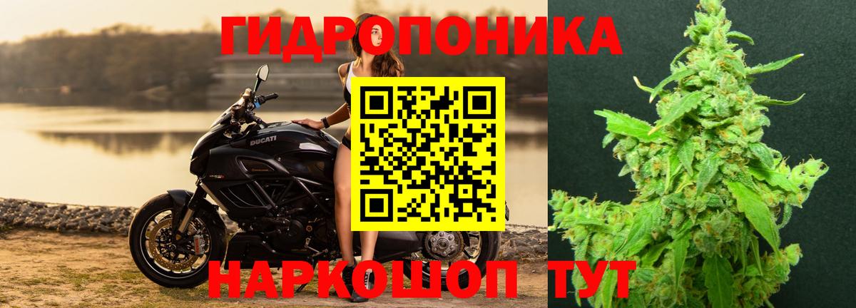 Бошки марихуана OG Kush Павловский Посад